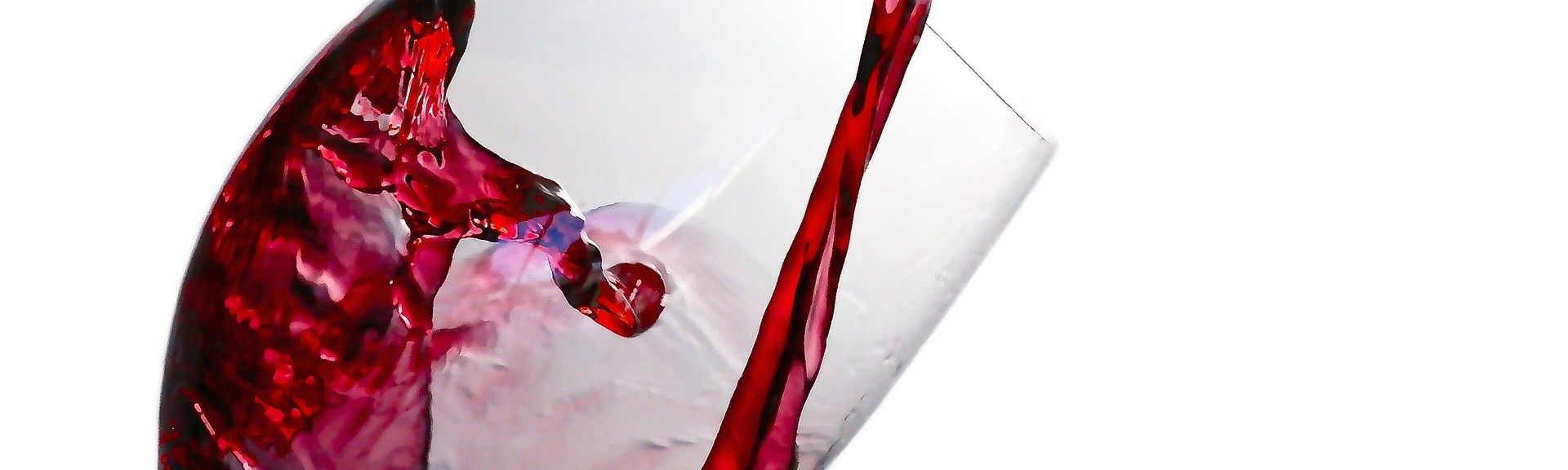 Rostislav Uzunov / PEXELS Lernen wann und wo du willst!