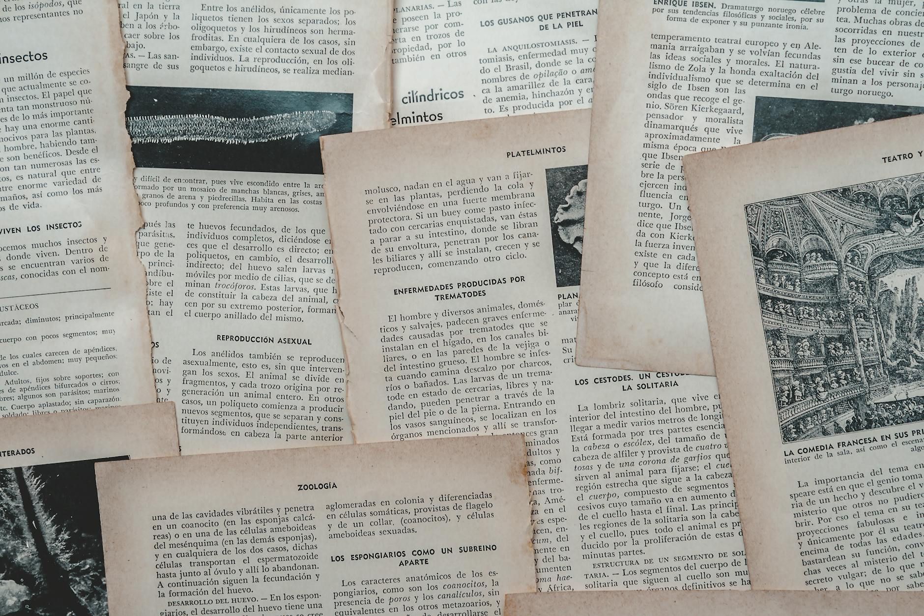 Ausstellungsführung „arbeit 1938–1945“ und Workshop „Jugend im Nationalsozialismus“